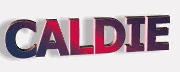 瑞典***CALDIE模具鋼